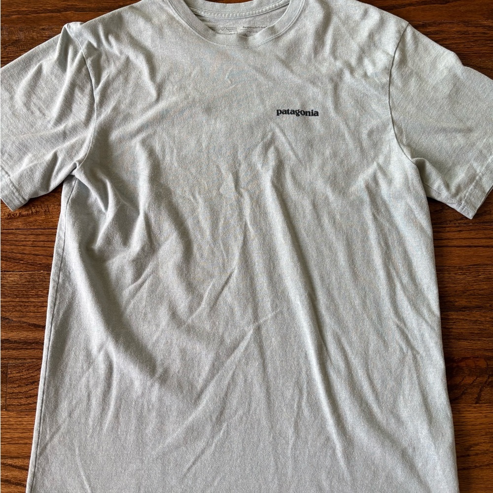 Patagonia Light Gray Men's Short Sleeve Tee